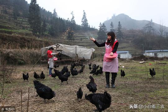 他凭胆大，赚到30万在农村创业，建立销售额4000多万的农业王国