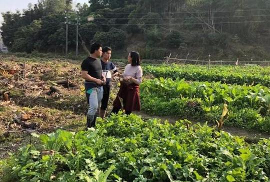有机方式种植蔬菜你了解吗？优禾田园农业创业不易，但未来可期！