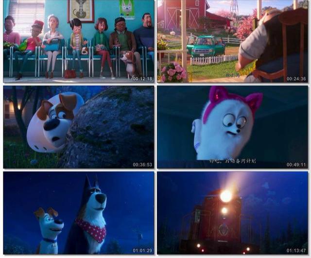 ### The Secret Life of Pets Movie Release Date: Everything You Need to Know