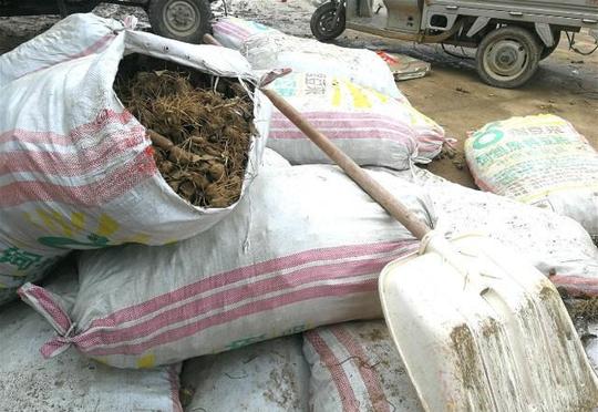 搞农业种植不赚钱？很多农村人在这3点上吃过亏，都是易犯的错误