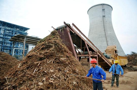 四川南充：农村秸秆不能烧咋办？南部县变废为宝，实现利润数千万