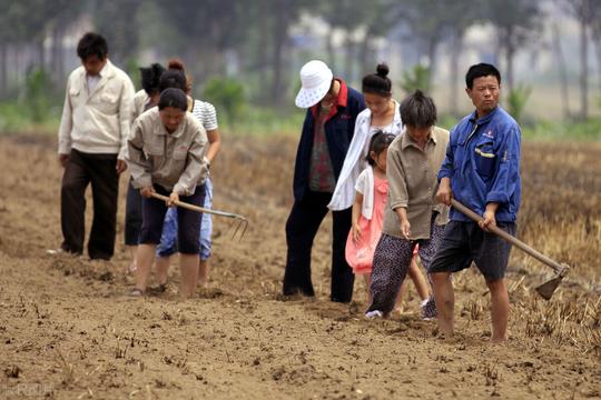 2021年将至，不想出去打工的农民，这3个创业项目可以试试