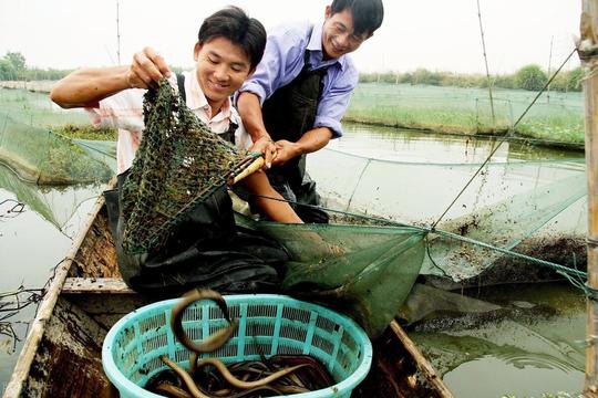 以后的农村，到底养殖什么，才能稳赚钱不赔？