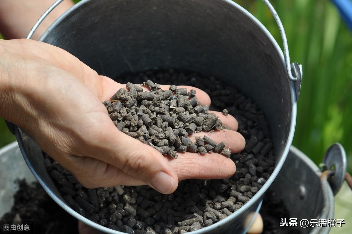 盆栽花卉肥料怎么按比例配,花卉施什么肥好?"