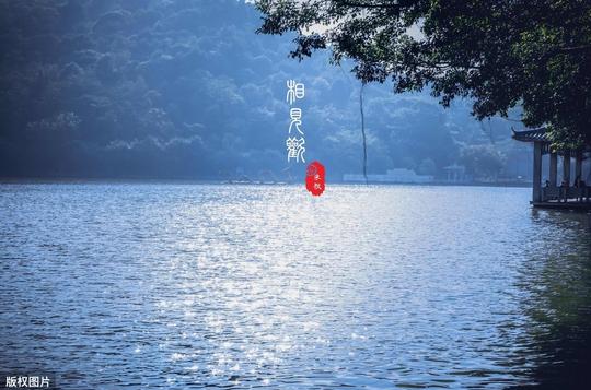 欧阳修惊艳了整个春天的一首冷门词：人到忘形时，白发也要戴鲜花