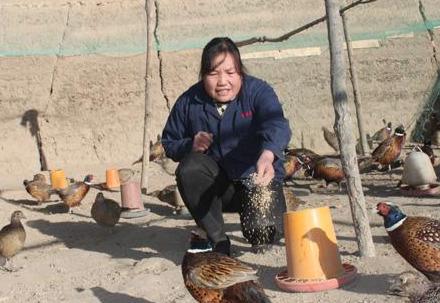 在农村想搞养殖，养殖什么“赚钱”？专家给出3个选择，可以试试