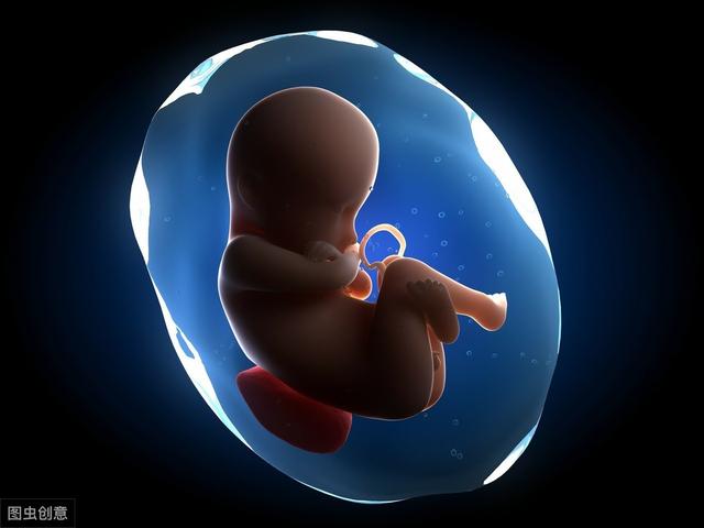 胎儿猛涨期在哪几个月