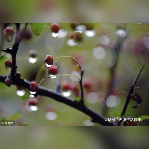 【天津今日气温】2025年4月24日天津气温是多少