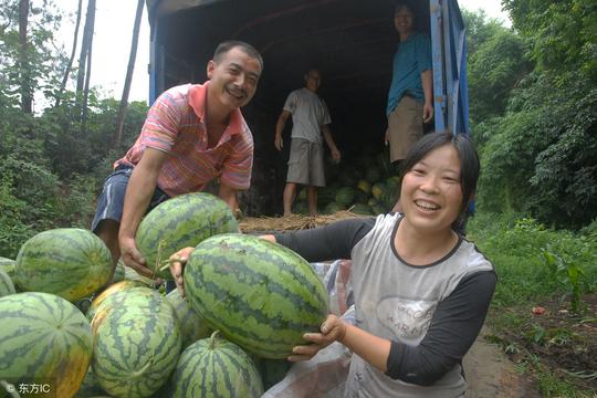 夫妻2人、零经验，在农村创业，有什么好的赚钱好项目推荐？