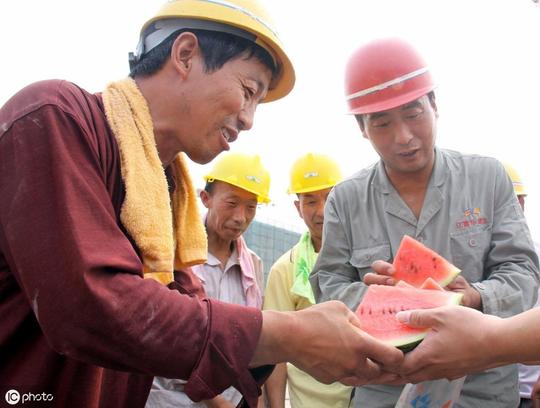 目前在农村种地效益怎么样？和打工相比，哪个好一些？