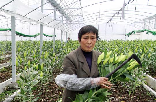 2018年在农村种地没出去打工的青年人，怎么赚钱的？还盖上了楼房