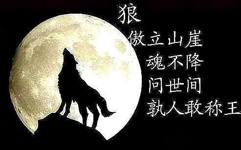 狼性：做生意，读懂这一计谋，善于运用逆向思维，赚钱不难