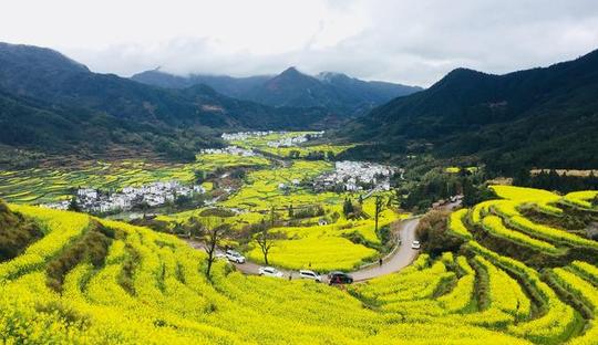 豫南乡村的变迁——纪念改革开放四十周年