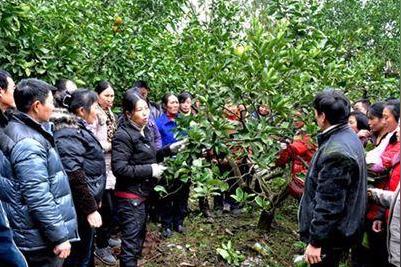 明年，这项创业政策一旦落实，农村的土地房子就会更值钱了！