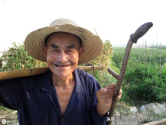 都说种地不赚钱？农民这样种地，1亩地收益能翻3倍，长见识了