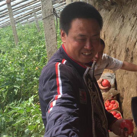 沈阳市和烟台市哪个大些