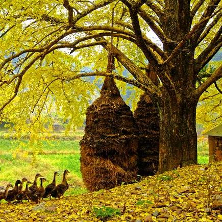 桐木到桂林的汽车相关长尾关键词有哪些