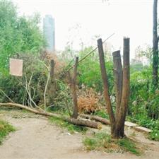 兰州市双大桥在哪里修建