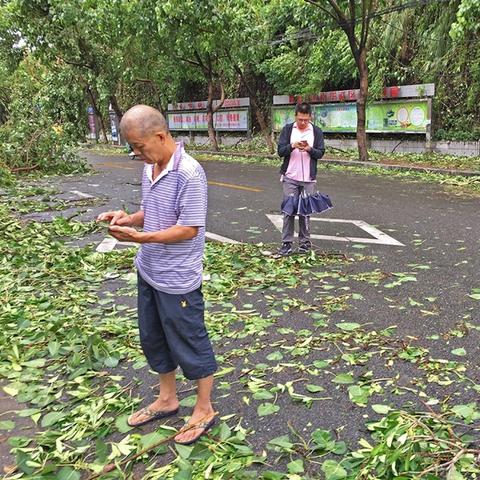 厦门 台风预报的相关长尾关键词有哪些
