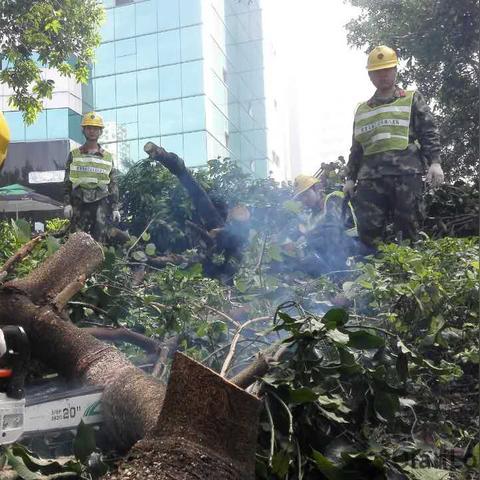 厦门 台风记录的相关长尾关键词有哪些