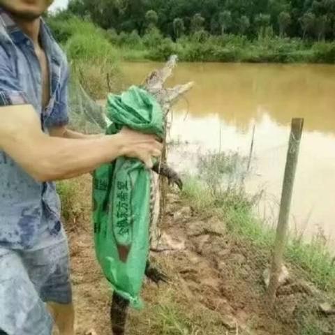 河南到芜湖怎么样
