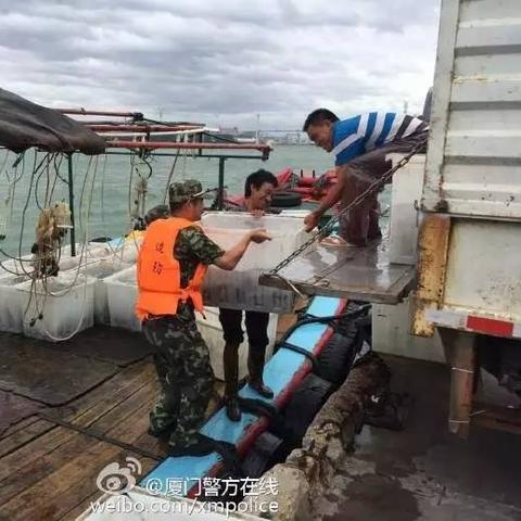 沈阳市台风幼儿园怎么样