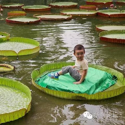 西安植物园在那里，什么方向？