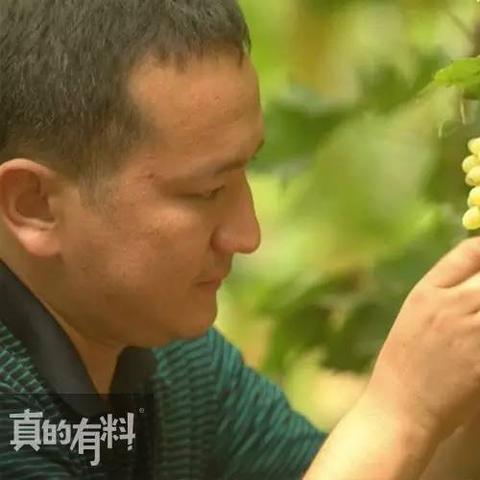 新疆化肥跨境电商平台的相关长尾关键词有哪些