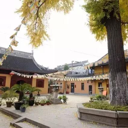 惠州市和苏州市哪个好考