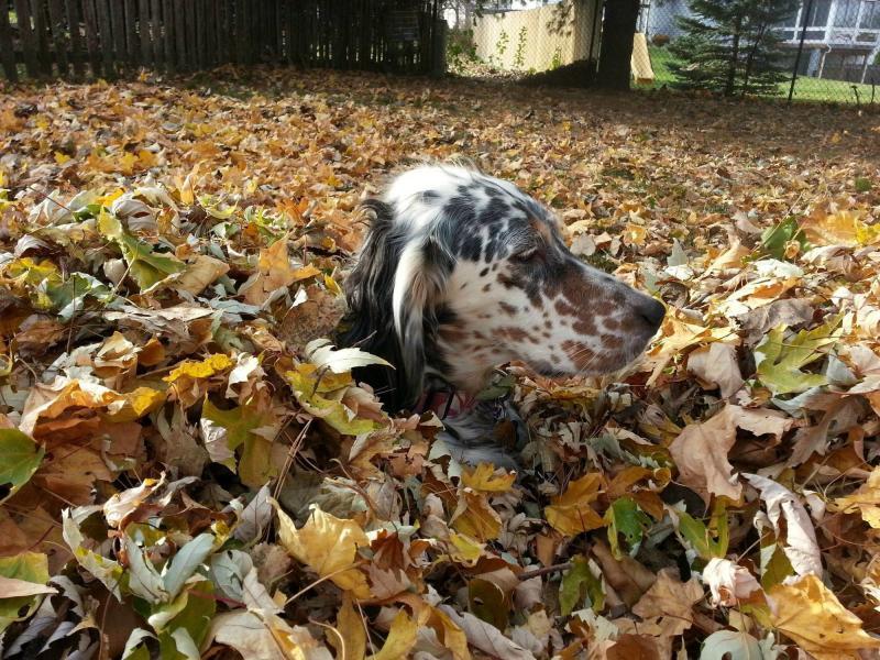 猫猫耶24小时自助下单网站
 ,全网最低价的下单平台