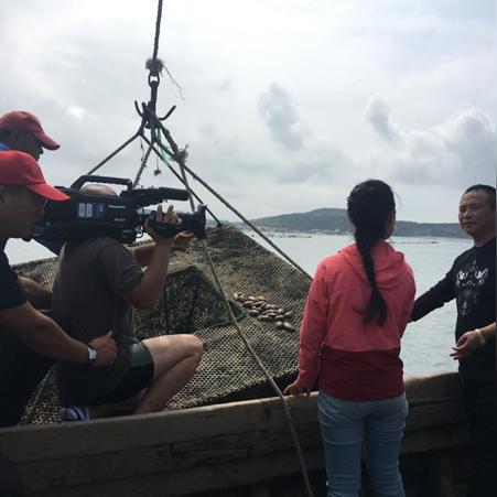 庄河气温纪录的长尾关键词有什么