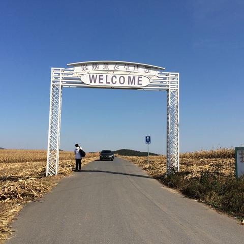 沈阳马刚为什么叫马刚