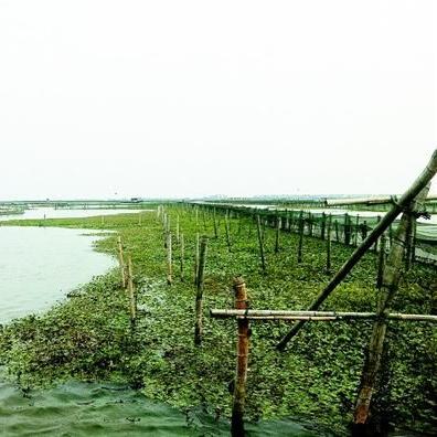 江苏省苏州市常熟市环保局电话号码的长尾关键词有什么