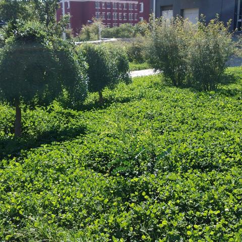 沈阳市七院新址在哪个位置