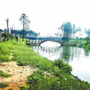 武汉市螺蛳山在什么地方