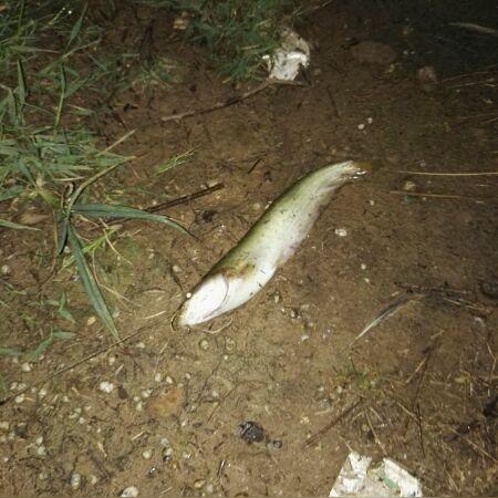 钓鱼长沙话相关长尾关键词有哪些