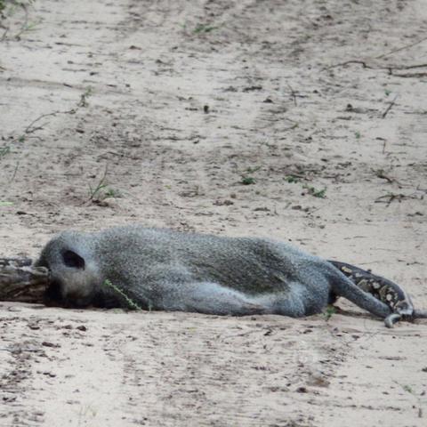 开车做什么生意好的长尾关键词有哪些