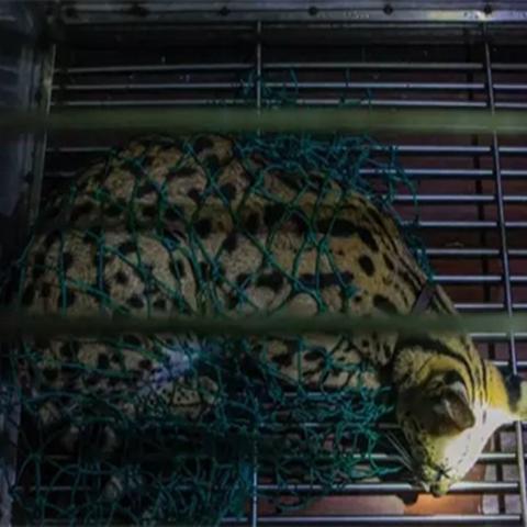 杭州市晚上有什么好吃的