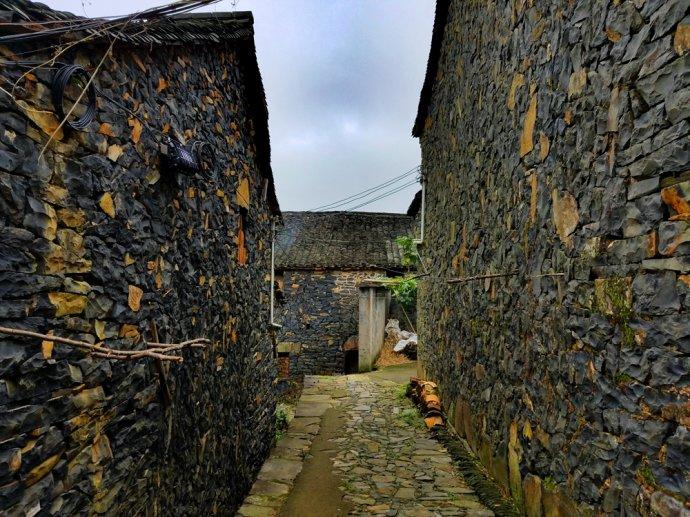 草学论文网免费论文法布尔的诗歌有哪些