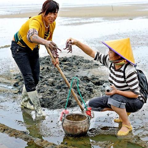 广州市盛产什么食物