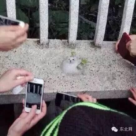 哈尔滨香坊停电通知相关长尾关键词有哪些