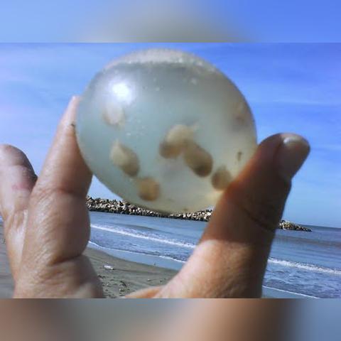 中科院合肥物质科学研究院的环境工程研究生好考不？