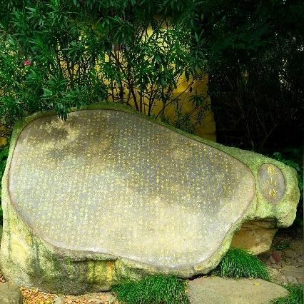 南通市城西小学在哪里