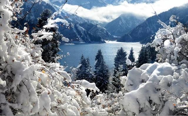 梦境解析，当少白头在梦中重生——探索内心深处的焦虑与自我认知的微妙变化