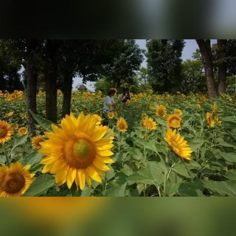 桂林禁止私自游玩通知相关长尾关键词有哪些