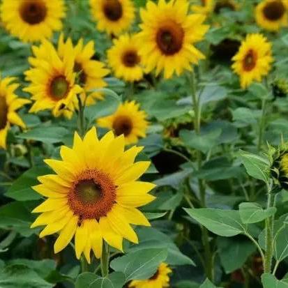 桂林市哪里最浪漫