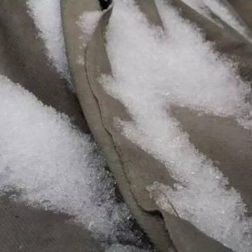 南宁什么鸡的相关长尾关键词有哪些