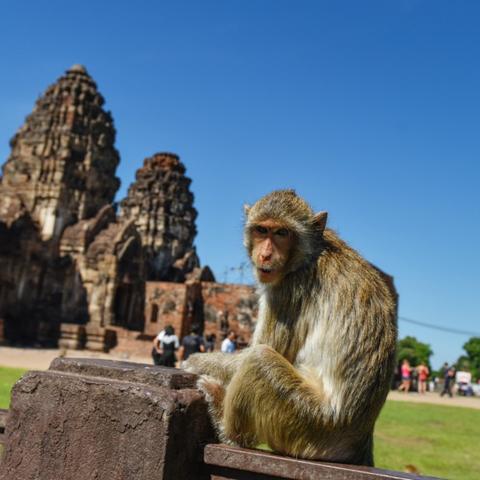 重庆大学建筑类考题的长尾关键词有什么