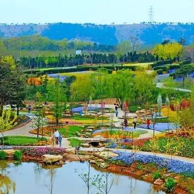 大连市十一中学在哪个区