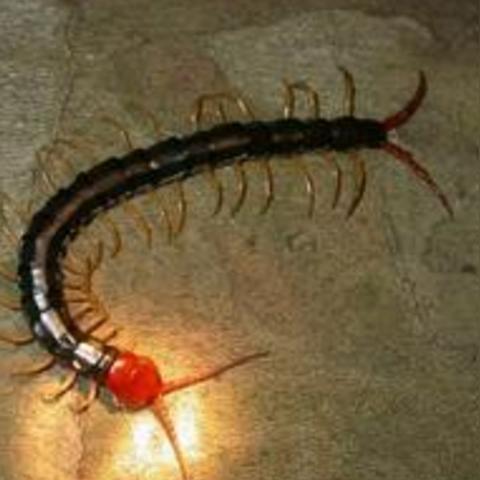 长沙青年汇合租相关长尾关键词有哪些